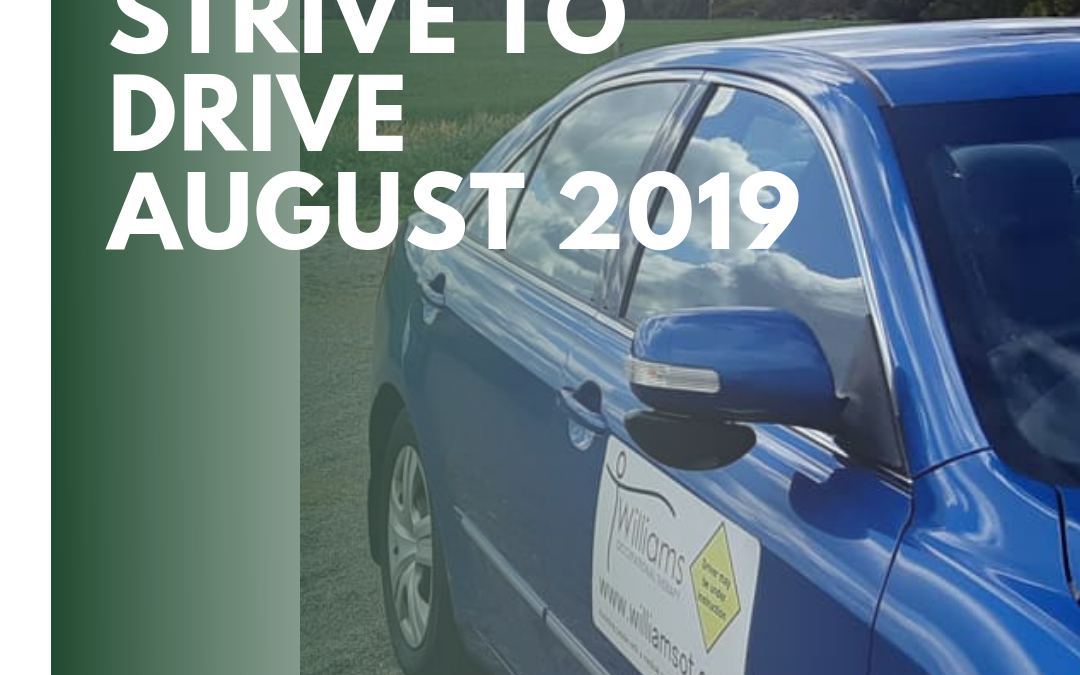 Strive to Drive – August 2019