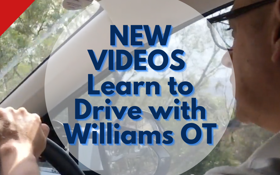 All-new videos: Learn to Drive with Williams OT